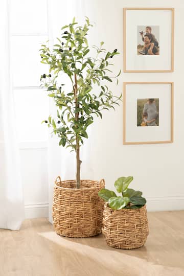 Kate and Laurel Livia Round Woven Basket Set